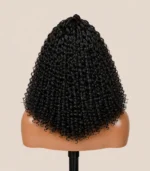 Luxury Kinky Curly Lace Front Wig - Image 4